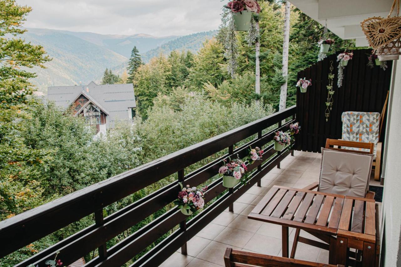 Hugo Mountain Apartment Синая Екстериор снимка